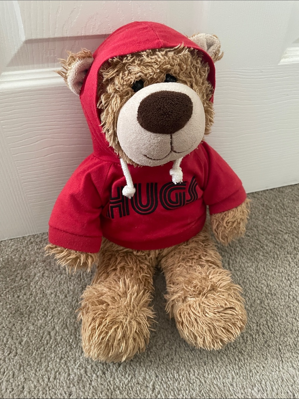 Build a bear in Red Hoodie